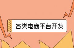 電商平臺(tái)系統(tǒng)的推廣方法，電商平臺(tái)系統(tǒng)要怎么做好營(yíng)