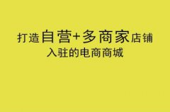 企業(yè)要怎么做電商系統(tǒng)？電商網站又要如何運營的呢？