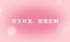 如何搭建電子商務(wù)平臺(tái)？搭建電子商務(wù)網(wǎng)站會(huì)遇到的問